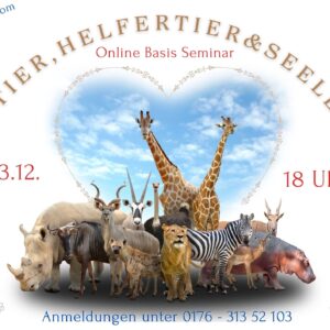 Basis Seminar "Krafttier, Helfertier und Seelentier" - Online