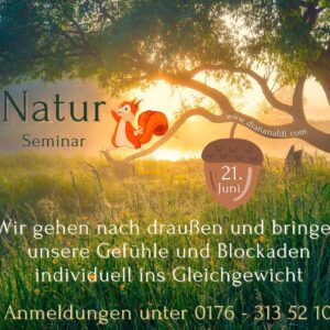 Naturseminar - Wald
