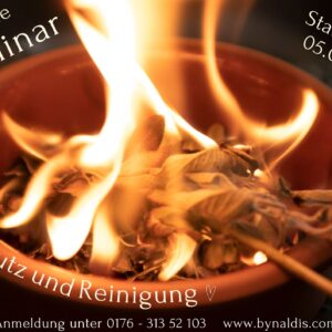 Online Seminar "Schutz +Reinigung"